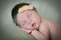 photos