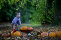 Danya_pumpkin